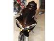 2008 Yamaha YZFR1, 2008 R1 Black comes with Tinted Windscreen