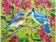A bluebird and a blue jay share a branch in a crepe myrtle