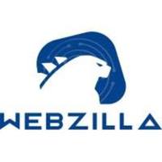 Contact us for SEO and Website design New Zealand - Webzilla