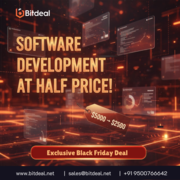 BLACK FRIDAY BOMBSHELL: Starts $2500 on Custom Software Development!