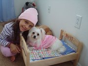 My Maltese puppies for adoption